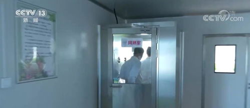 科技技術(shù)賦予 植物工廠 ,使蔬菜達(dá)到最佳生長狀態(tài)