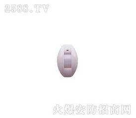 振南探測器 安防科技先鋒，加盟店優勢解析